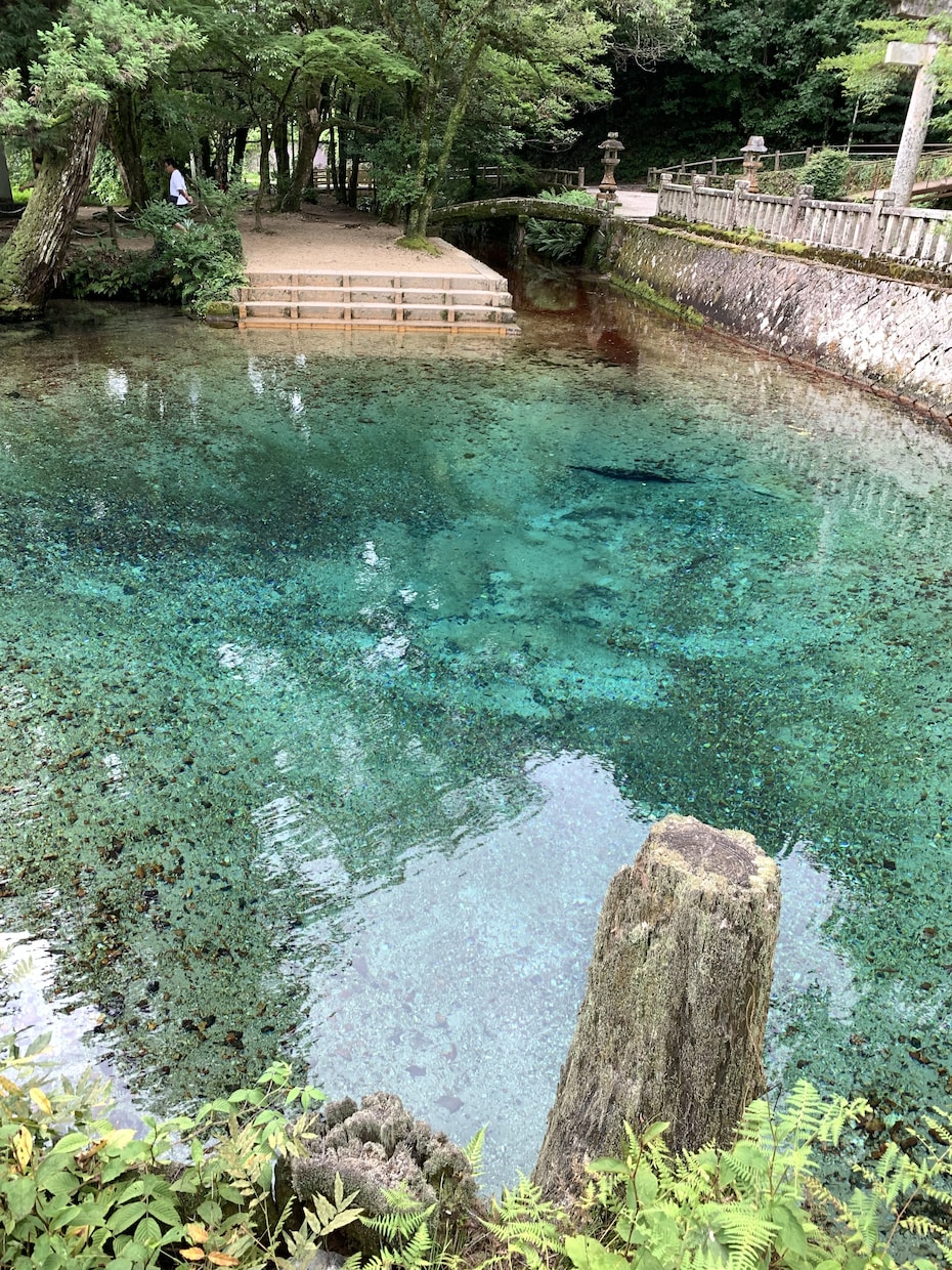 離婚か悩んでる方へ占います 画数などのお話しをお聞きして、悩みの解決策を一緒に考えます！ イメージ1
