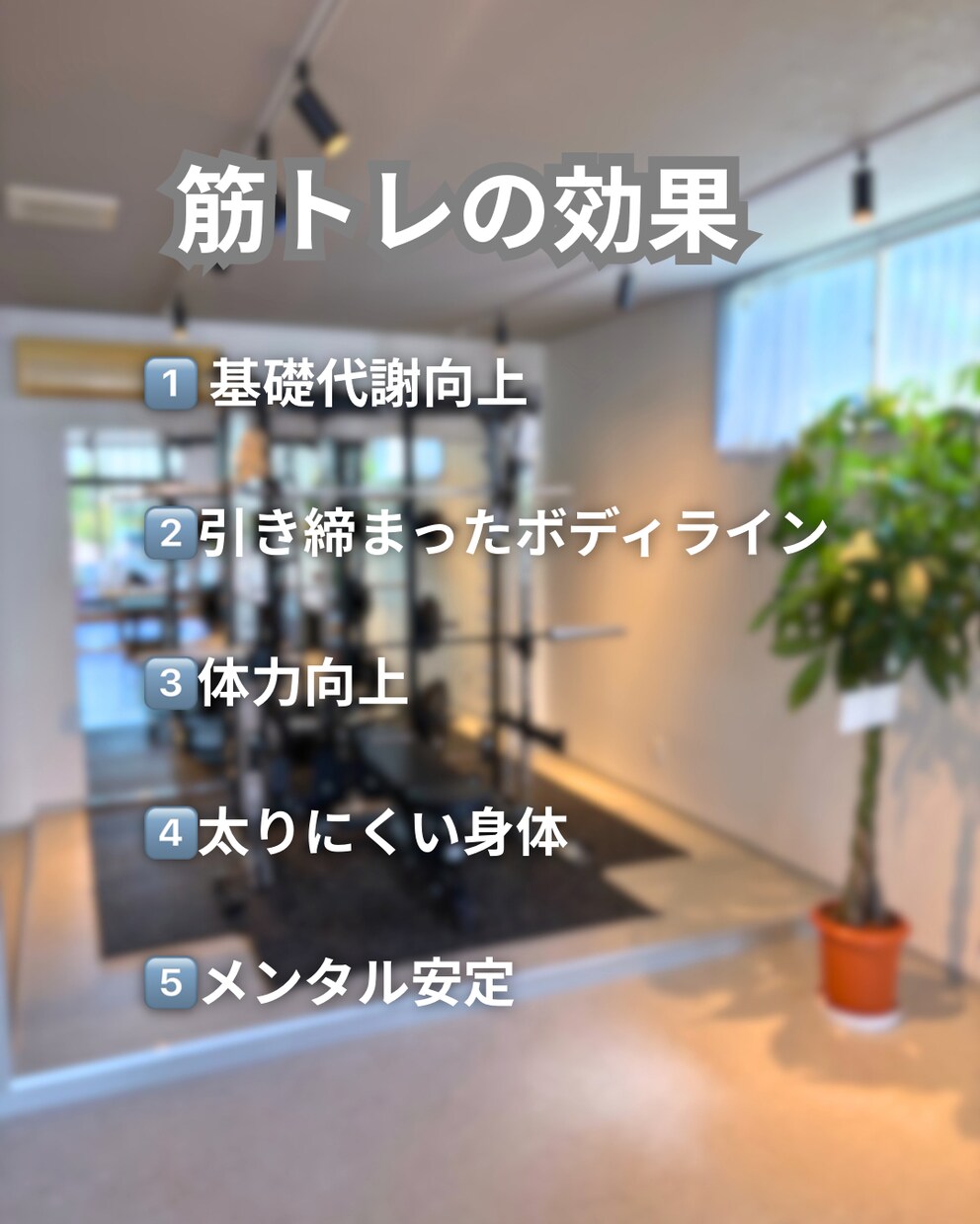 ボディメイクのプロが食事と運動を伴走支援致します 自宅で筋トレ＆ピラティスをしながら本格ボディメイク イメージ2