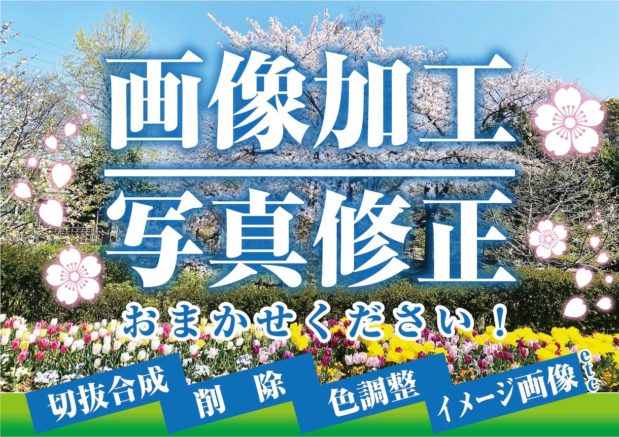 写真の画像修正承ります 「いい写真なのに、これさえなければ・・・」を叶えます! イメージ1