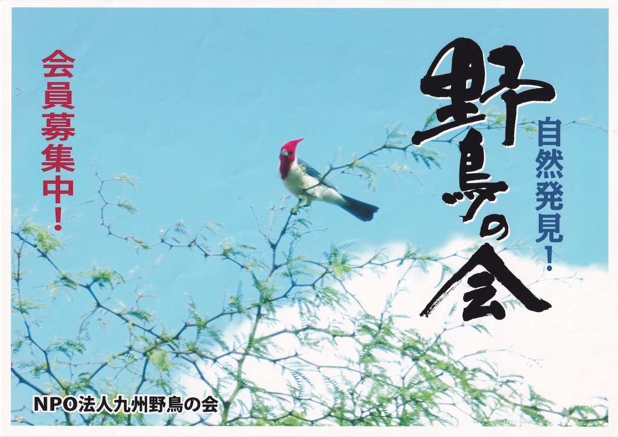 心に響く筆文字をお書きします ポスターの題字を個性的に表現したい方へ イメージ7