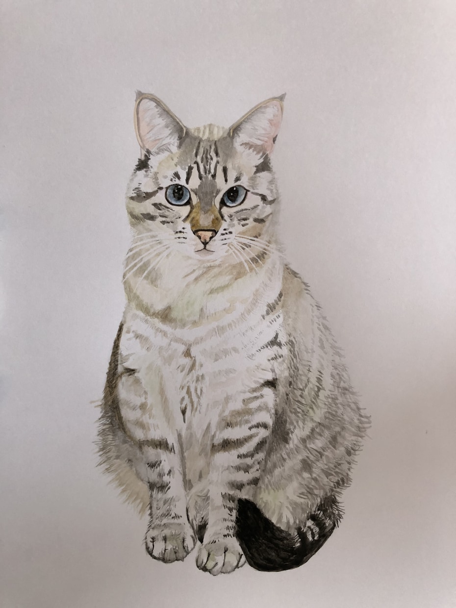 大切な家族、ペットをリアル似顔絵で描いてます リアル似顔絵は写真に近い絵です。可愛い子はさらに可愛く イメージ1