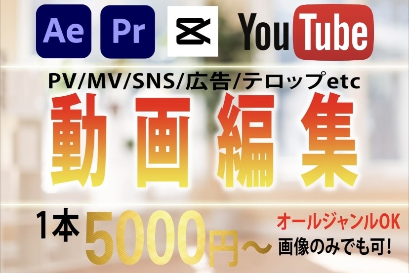 YouTube/PVなど動画全般、格安で制作します ジャンルは幅広く対応します！【修正無制限！】 イメージ1