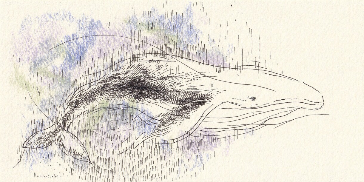 絵本作家が描くペン画イラスト20×20cm作ります 会社案内や広告、ポスター、プレゼントにもおすすめです。 イメージ4