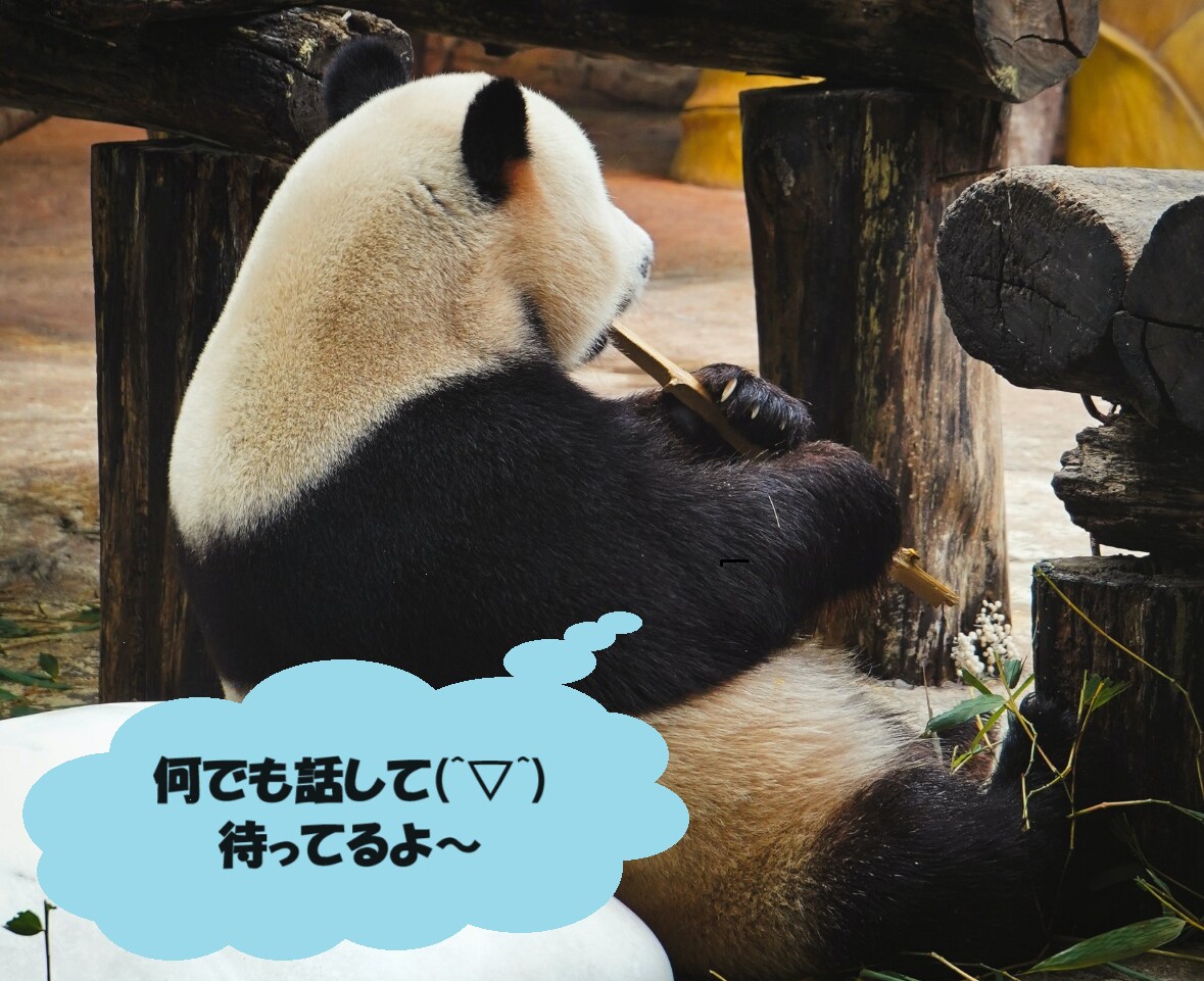 心の声・悩み・愚痴を聞きます 誰かに聞いてほしい。誰かと話したい。そんな相手が必要な方へ イメージ1