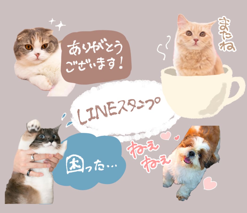 かわいいペットのLINEスタンプ作成します オリジナルペットLINEスタンプ制作します！ イメージ1