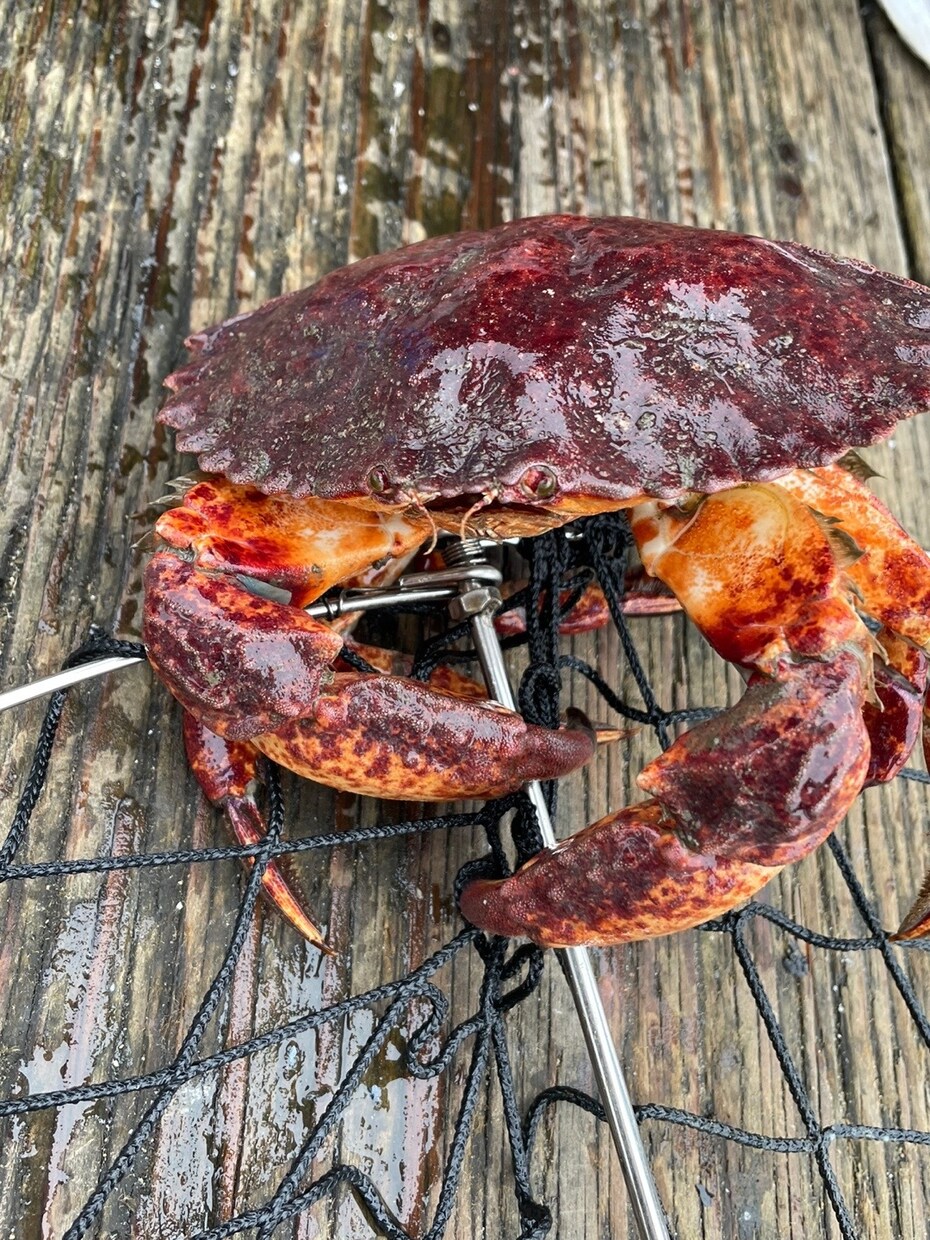 カナダへの留学、旅行のご相談承ります リアルタイムでカナダ現地の情報をお届け！ イメージ7