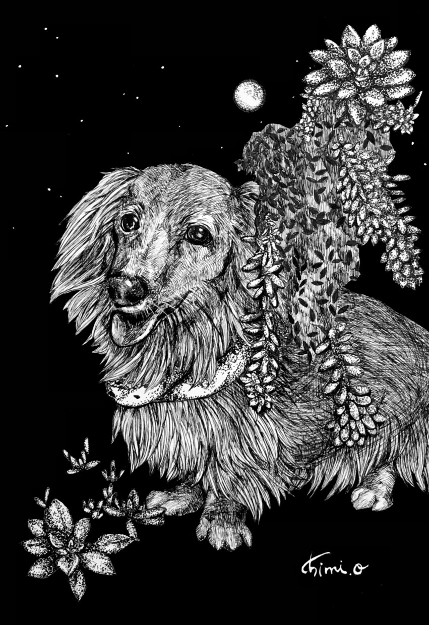 クールなペン画でペット肖像画お描きします お好きなモチーフと一緒に、ペットちゃんをお描きします。 イメージ1