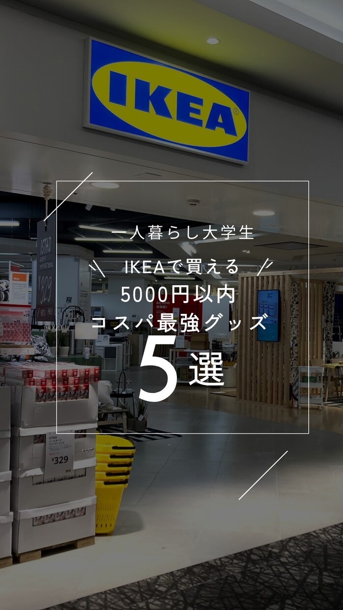TikTokとインスタのスライド作成します SNSへのスライド投稿用Canvaテンプレ作ります イメージ3