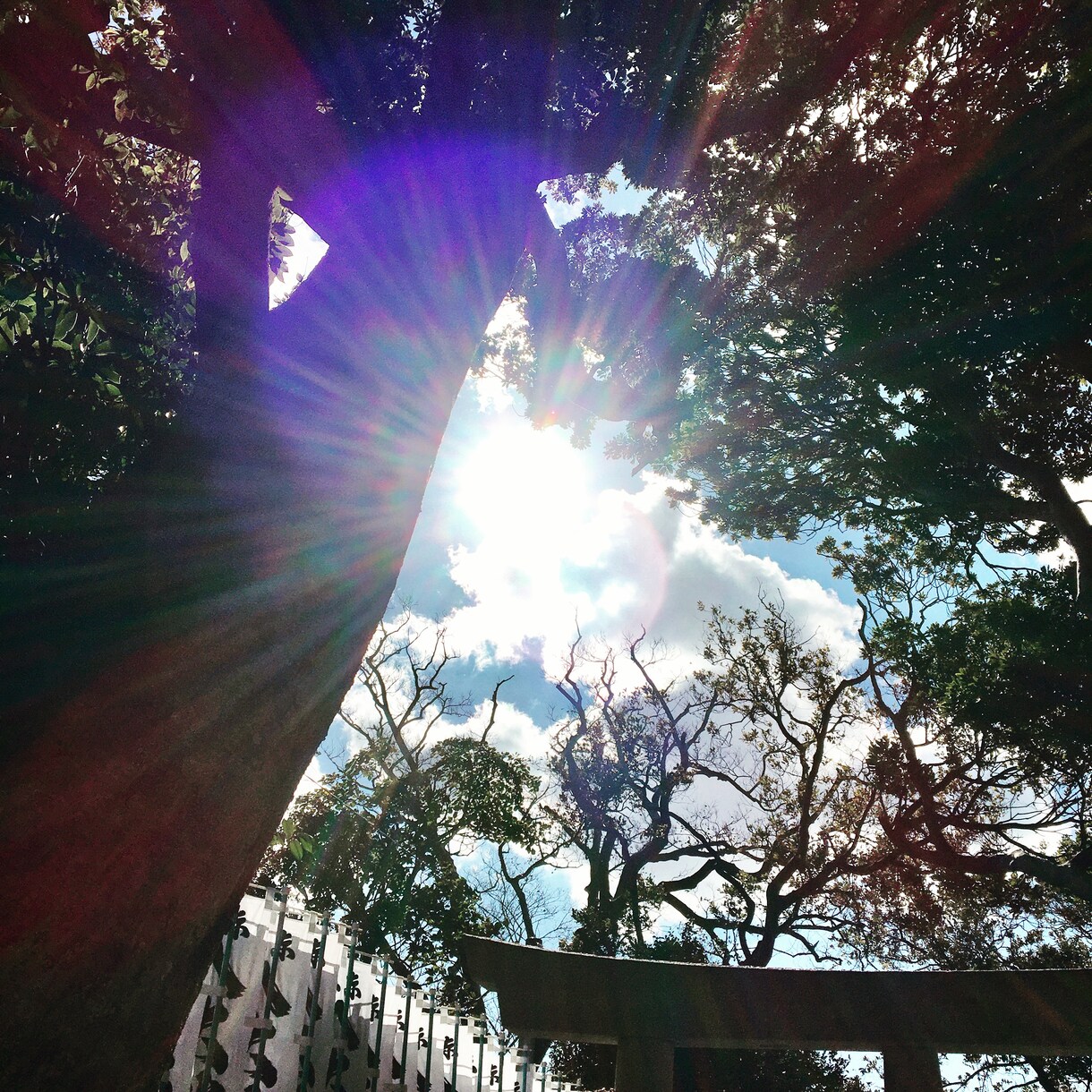 あなたの癒しと目覚めをサポートします あなたの真の豊かさと愛につなげるお手伝い♫ イメージ6