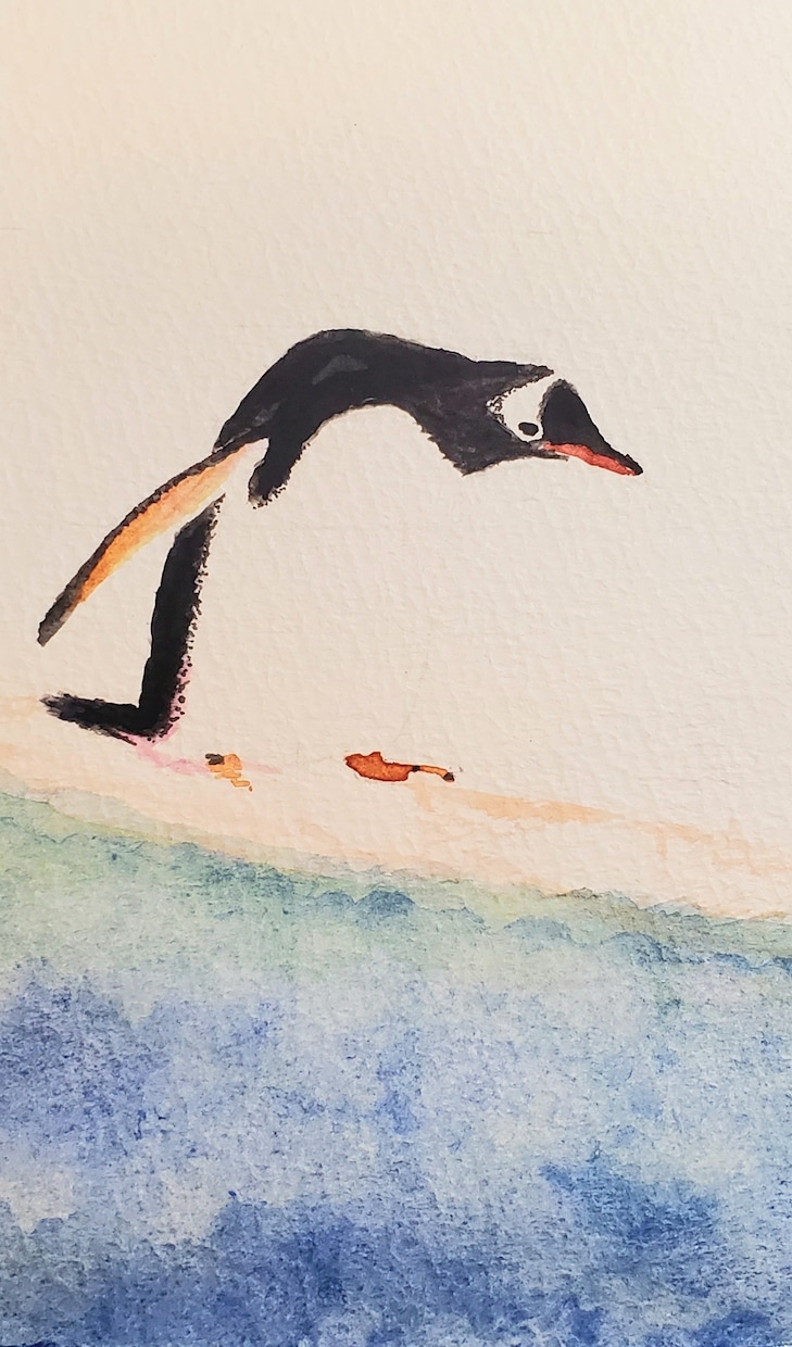 主にペンギンを描いてます 透明水彩を使用してペンギンの絵を描きます。 イメージ4