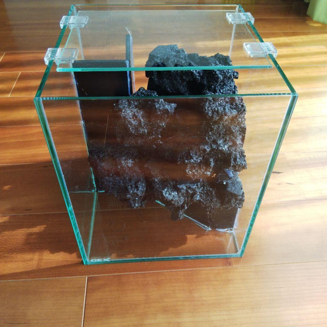 滝のあるアクアテラリウムをつくります イモリを飼育したい方や、苔に興味のある方へ イメージ6