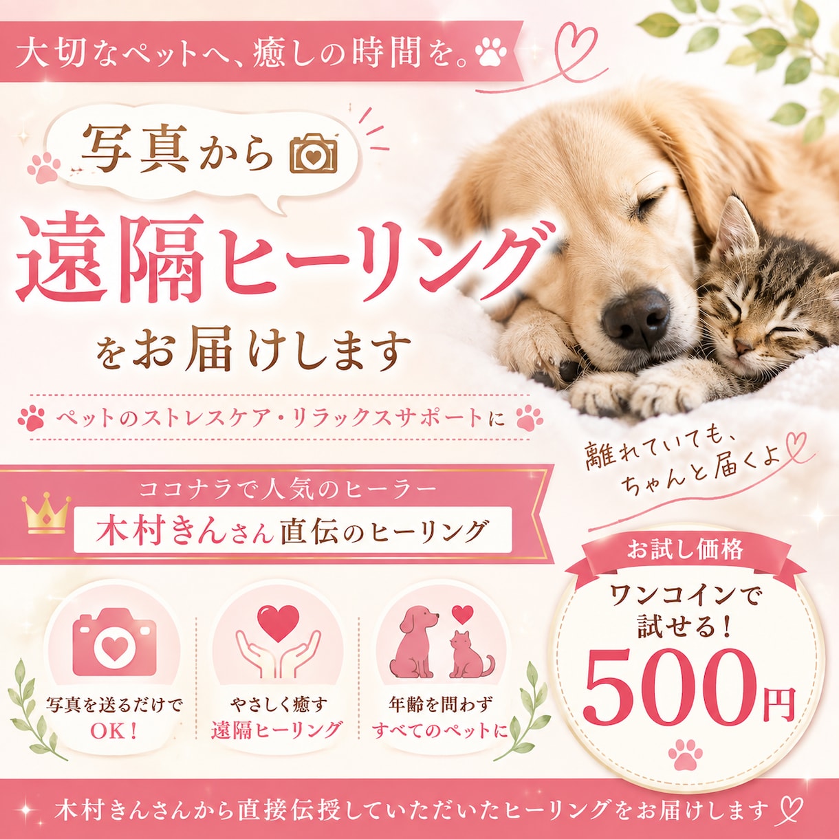 大切なペットの心を癒す遠隔ヒーリングをします 「大切なペットへ♡写真1枚から、癒しのエネルギーを届けます」 イメージ1
