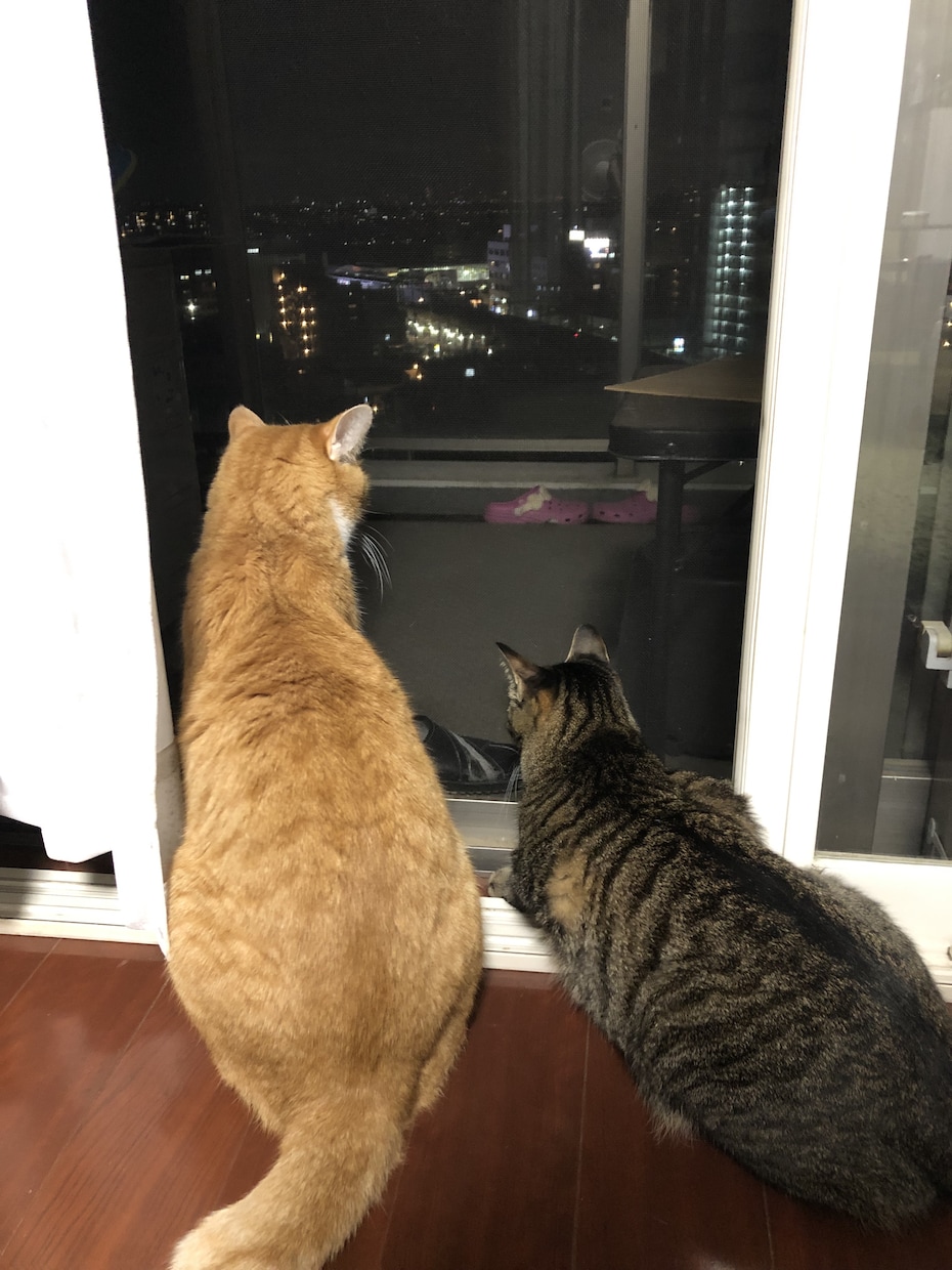 ドロップアウトした方の支援をしています 将来に悩みを抱えている方、お気軽にどうぞ イメージ4
