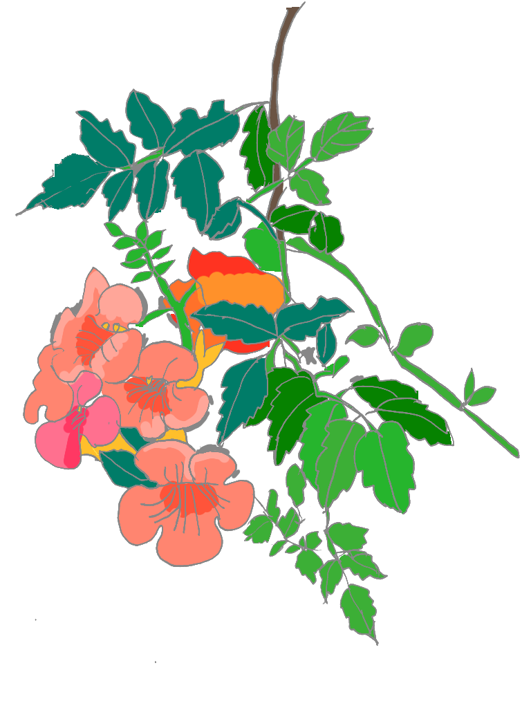 描写重視：植物を鮮やかな色彩でお届けいたします 描写のタッチを選んでいただけます！ イメージ1