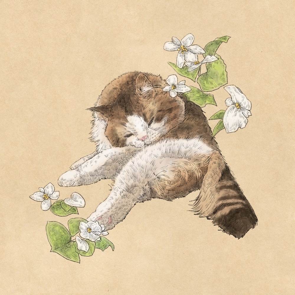 写真を元にあなたのペットのアイコン制作を行います あなたのペットの似顔絵を描きます！リアル調デジタル手描き イメージ10