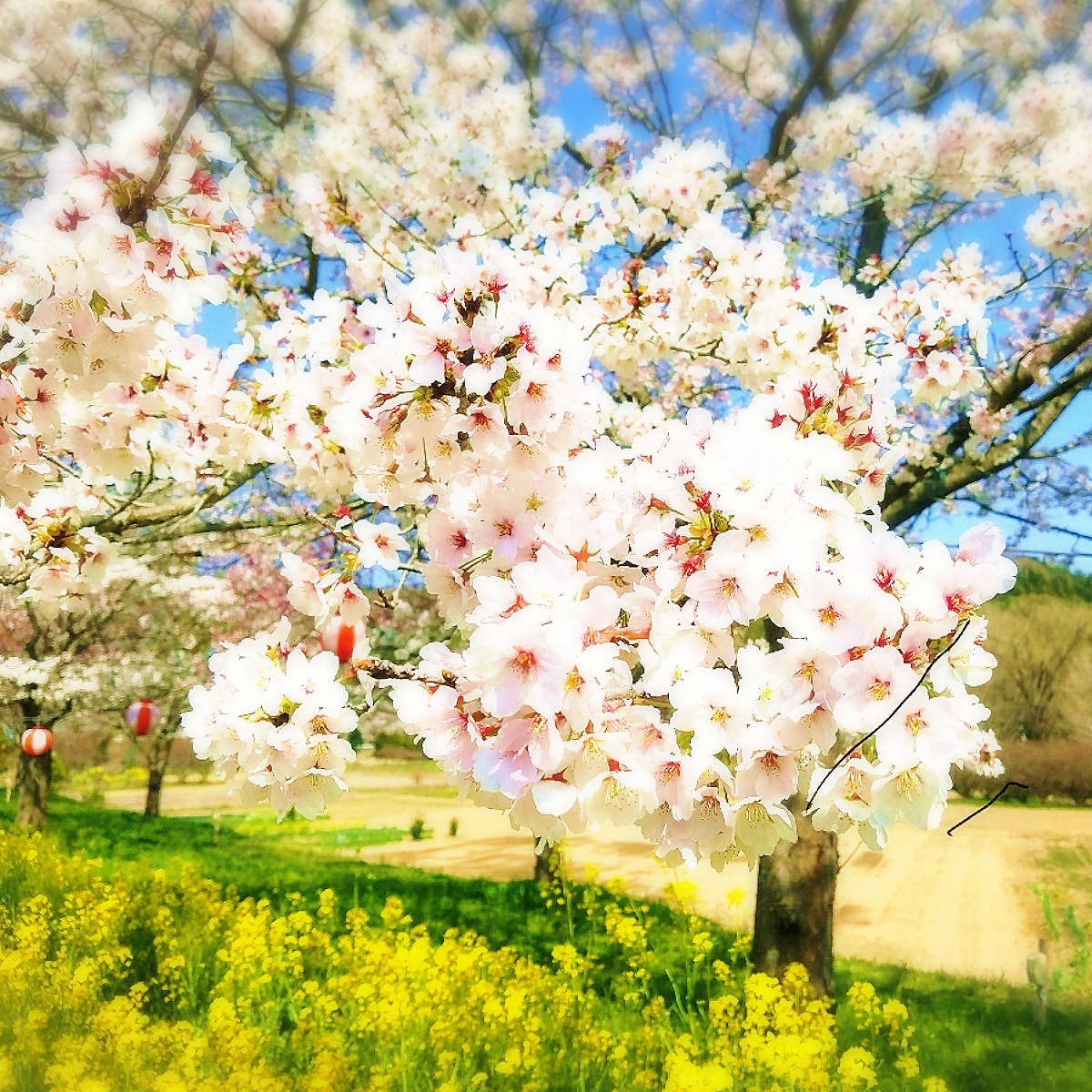 格安◇結婚式や卒業式などのムービーを作成します ☆ご希望のシーンに感動的な映像を☆ イメージ1