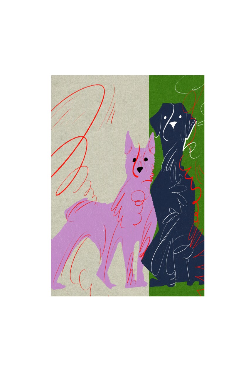 モードにオリジナティ溢れるイラスト作成します 人物、動物、その他様々なモチーフお気軽にご相談ください！ イメージ6