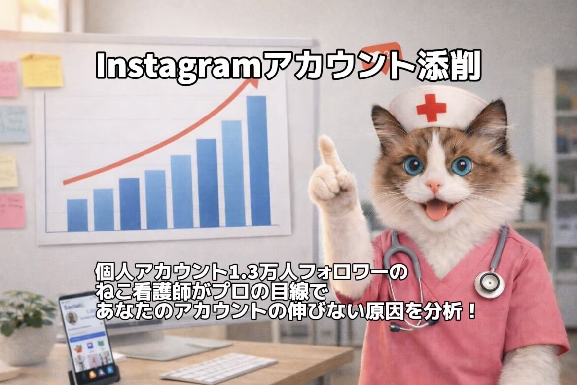 プロの目線でInstagramを添削します アカウントが伸びない理由をしっかりと分析します。 イメージ1