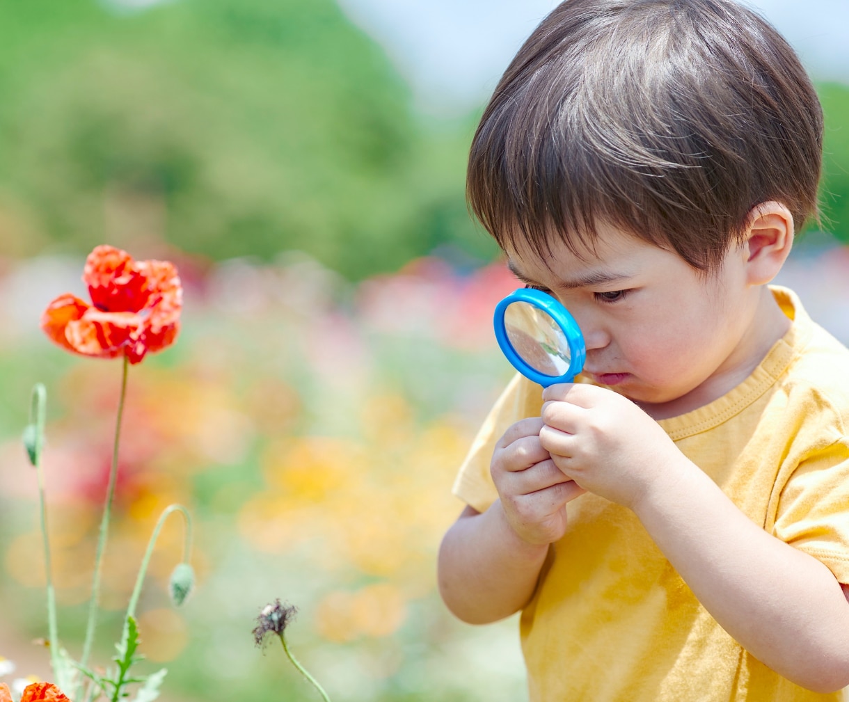 お子様の魂が歩む未来を霊視で読み解きます 才能・適性・人生の流れ、心と身体のバランスまで鑑定いたします イメージ6