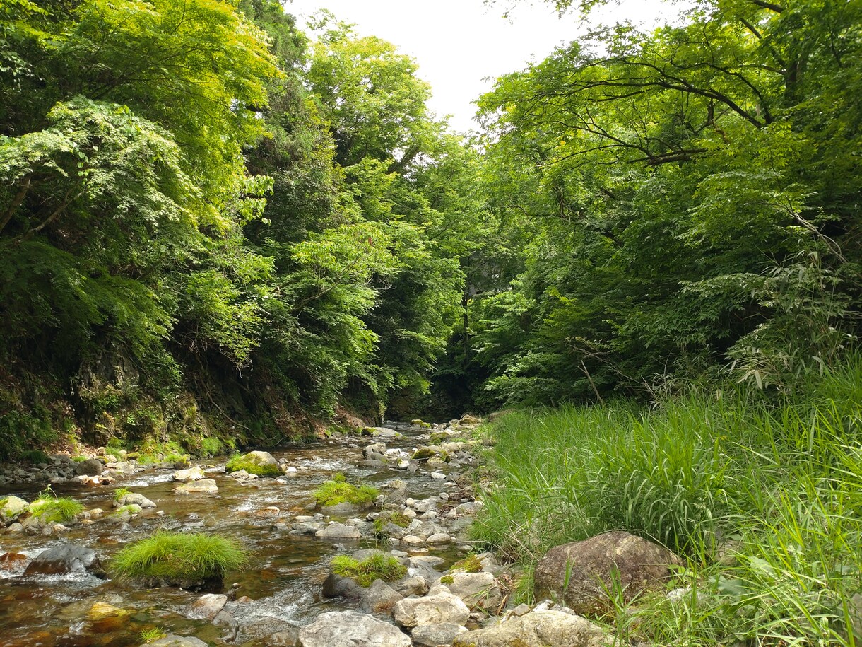おはなしを聴いて、あなたの素晴らしさを伝えます ナチュラルなコミュニケーションで、爽やかに癒やします！ イメージ5