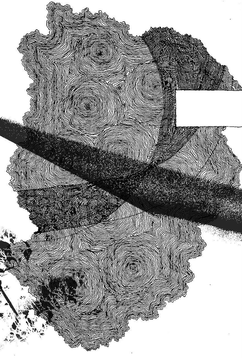 独特で緻密なモノクロ絵画描きます ミリペンという極細ペンなどを利用した，絵画作品です。 イメージ2