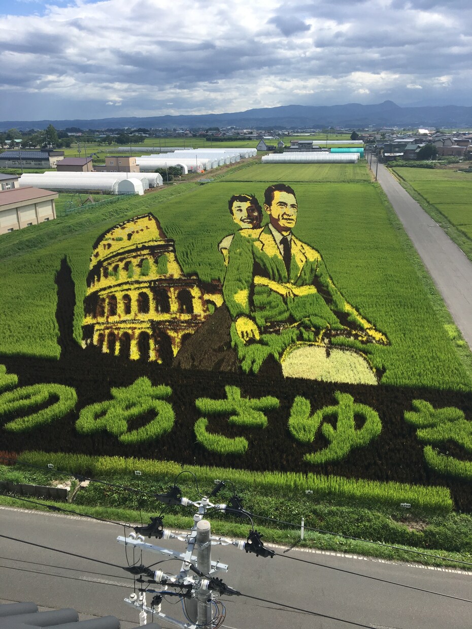 季節の写真集めます 季節ごとの写真を収集！遠距離編 イメージ1