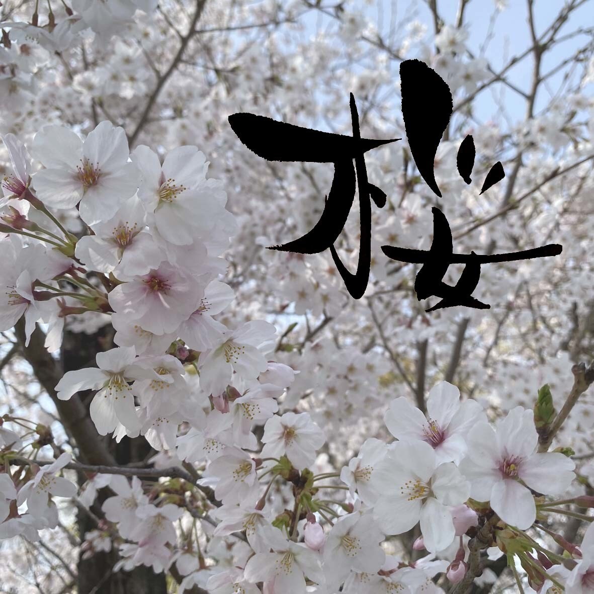 筆文字のデザイン力と書道の技術を活かして制作します ひとつ格上の筆文字を目指します イメージ3