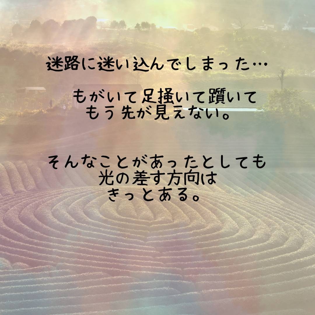 いつ終わる？【ぶつけどころのない】介護の話聞きます 「私だけが、なぜこんなに頑張っているの……」疲れ切った毎日に イメージ8