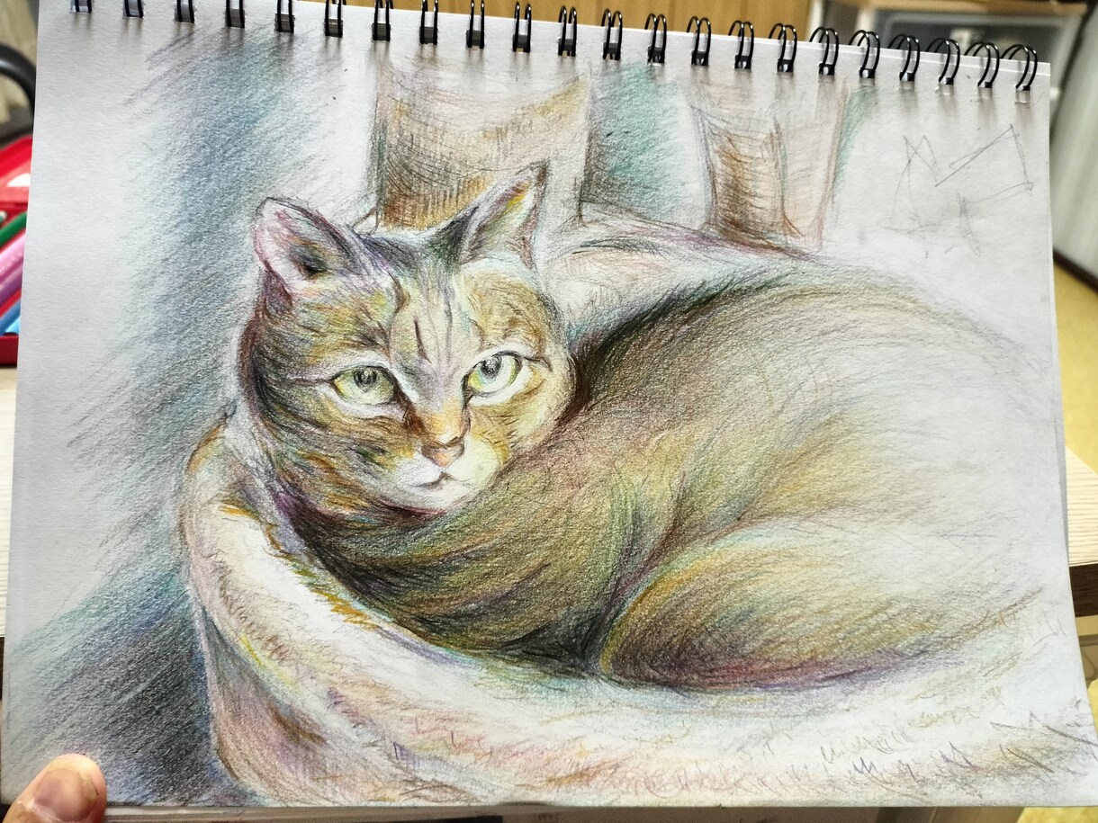 猫ちゃんをクレヨン、色鉛筆、水彩絵の具で描きます 雰囲気に合せた画材を使いA4の紙に描き額に入れて郵送します イメージ5