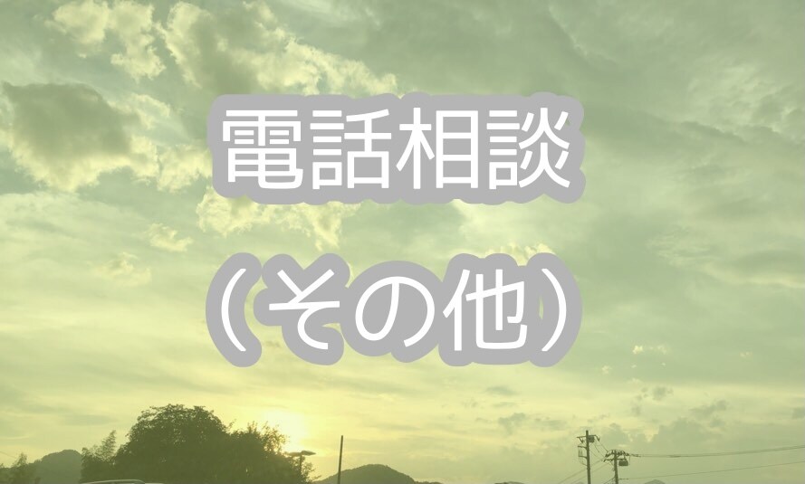 電話相談（その他）あなたの悩みに寄り添います 誰かに話を聞いて欲しい！というカテゴリーに縛られない相談 イメージ1