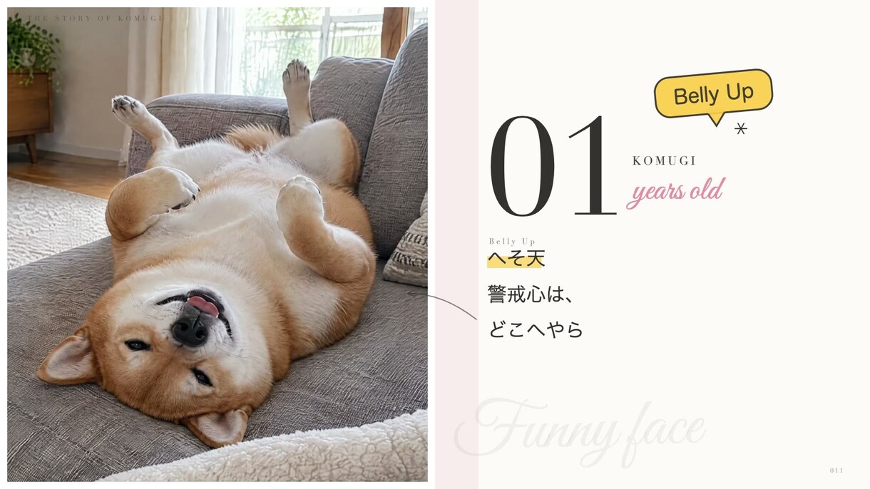 雑誌風！ペットの思い出ムービー作ります お気に入りで15%オフ 雑誌をめくる犬猫動画 イメージ3