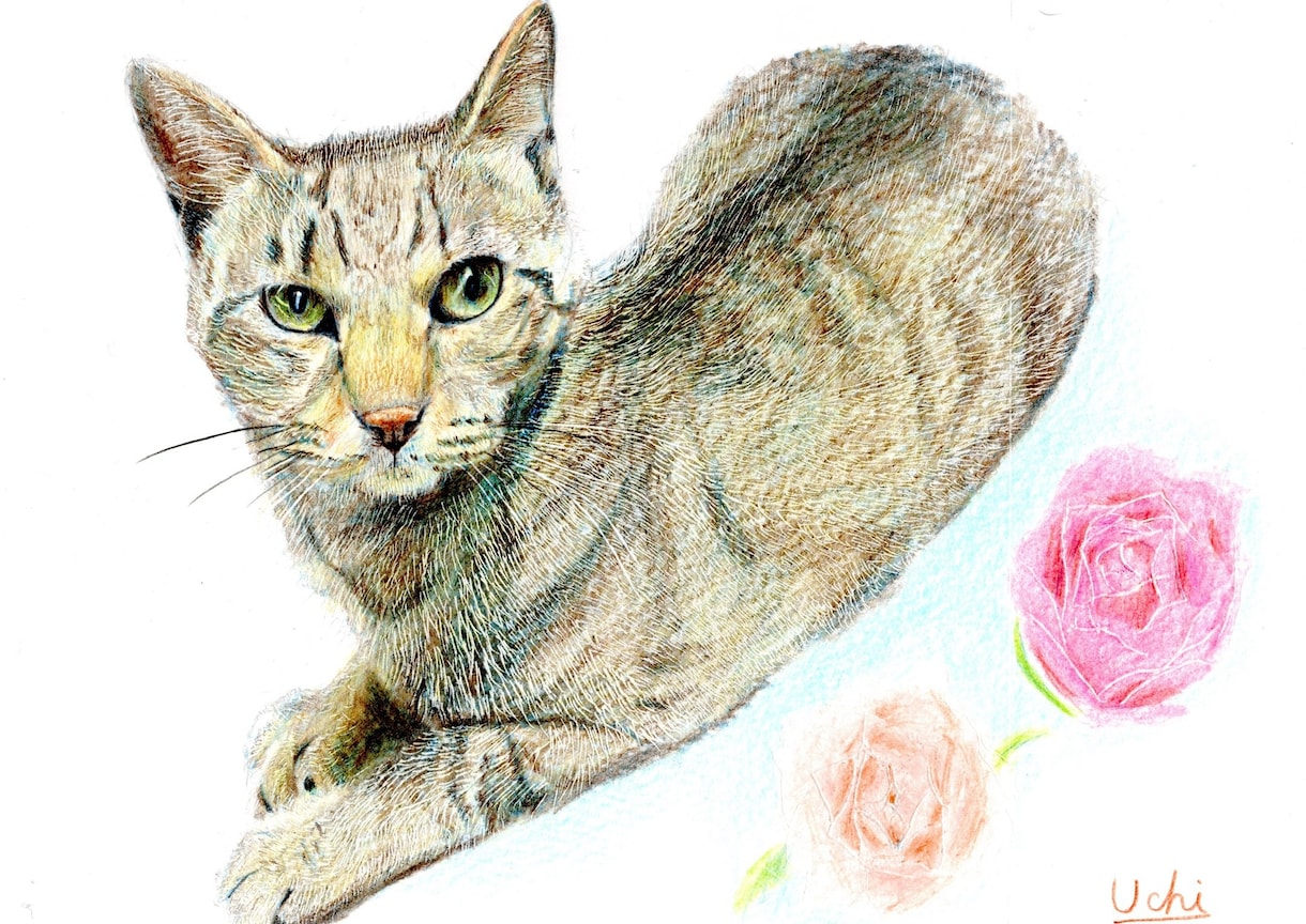 先着2名！愛しの猫ちゃん似顔絵描きます 色鉛筆で、大好きな猫ちゃんのの可愛い瞬間を描きます！ イメージ3