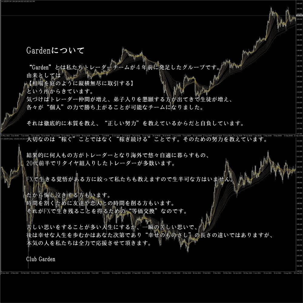 FX、バイナリーオプションのシグナルインジ譲ります FX 売れ筋 大好評 スクール、サロン生配布用インジケーター イメージ10