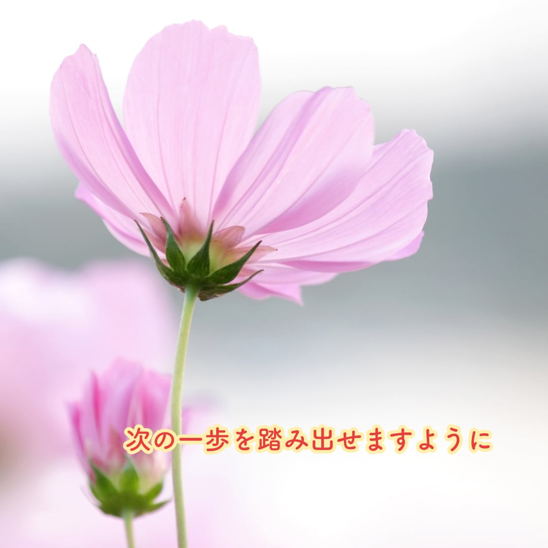 恋愛・仕事・人間関係｜あなたのお悩みに寄り添います 喫茶店でほっと一息つくように、心をゆっくり整える時間 イメージ5