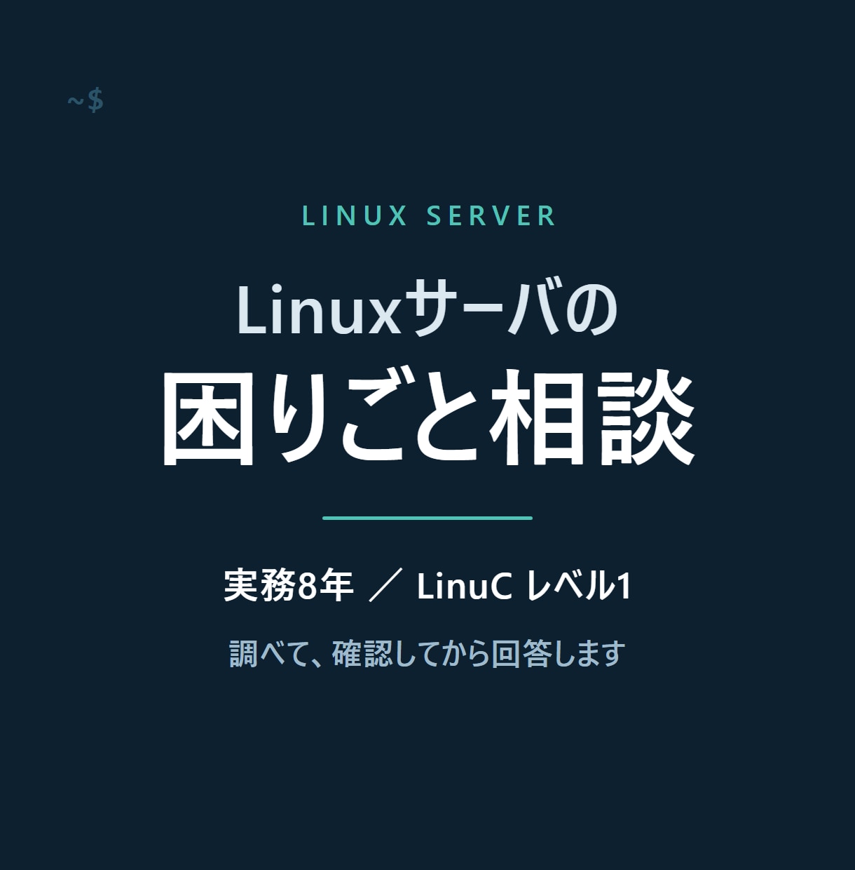 Linuxサーバの困りごとを調べて答えます 実務8年の現役が、調べたうえで丁寧に回答します イメージ1