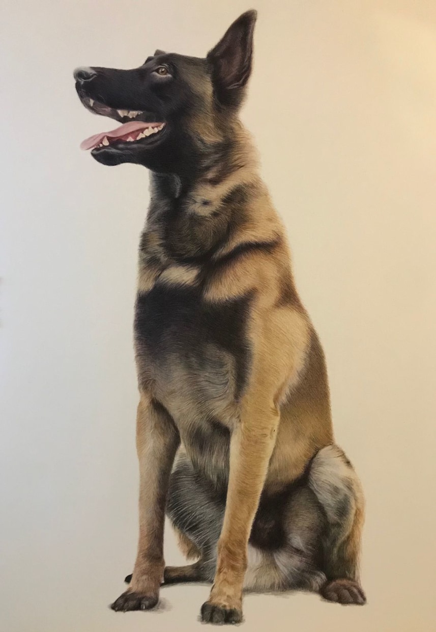 あなたのペット・犬・猫などの似顔絵を描きます 写真のようなリアルな あなたのペットのイラストを製作します イメージ9