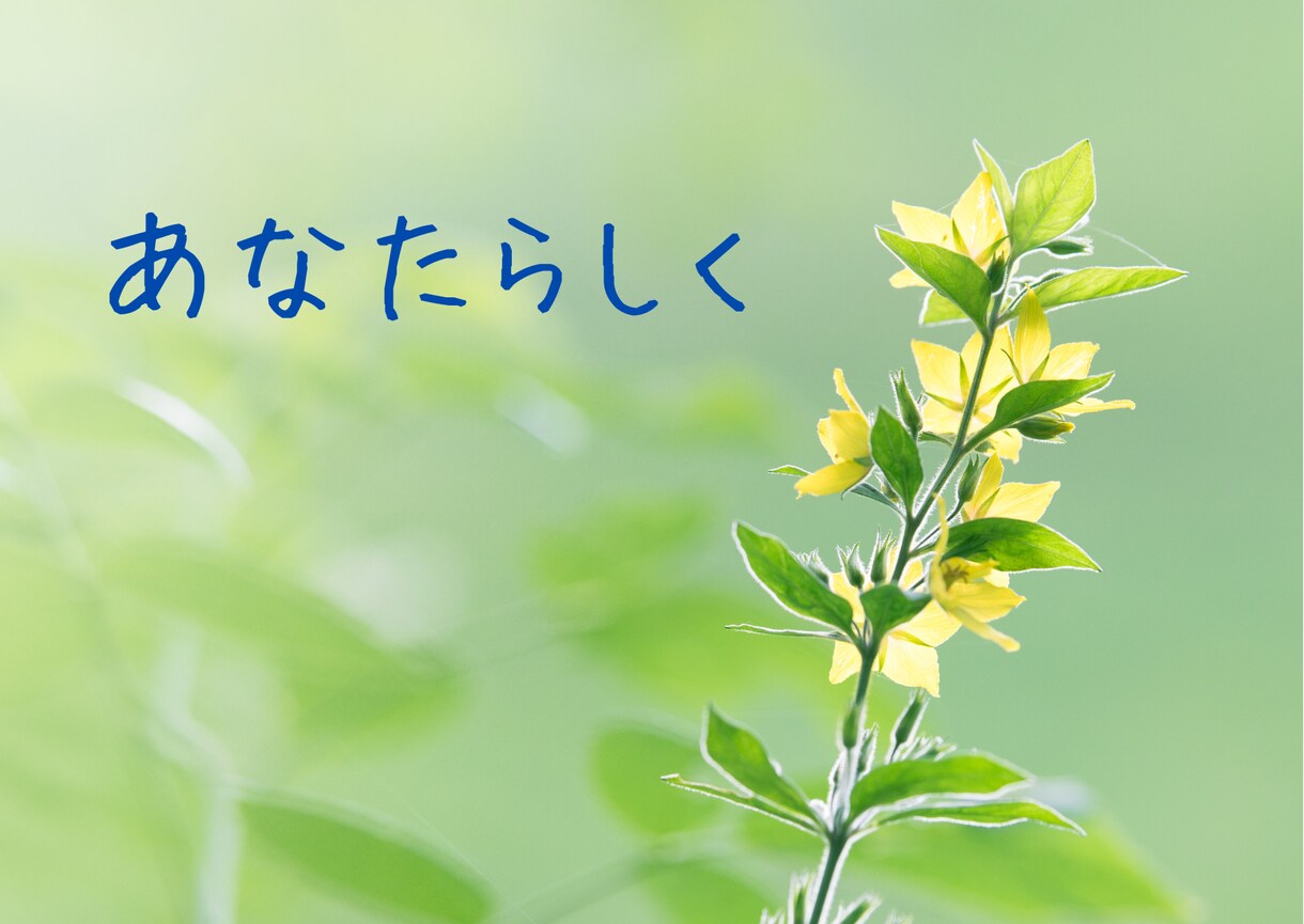 対人関係や職場のストレスに悩む先生のお話を聞きます 7日間のチャット伴走で、自分を責める日々から卒業しましょう イメージ4
