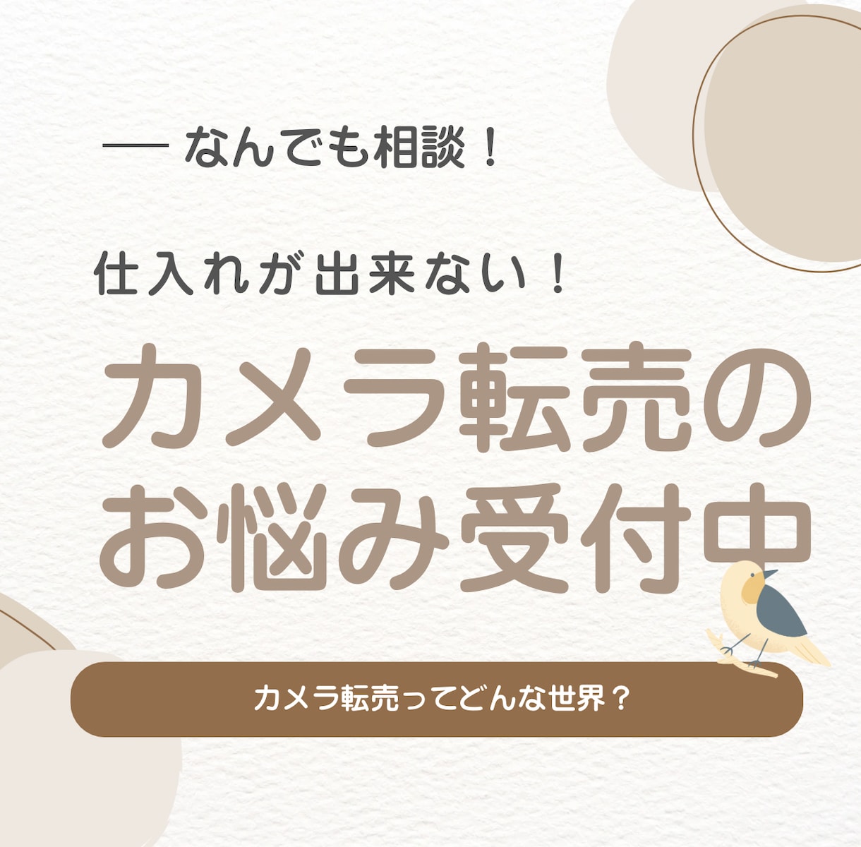 カメラ転売に関する質問悩みをテキストでお聞きします 判断に迷うカメラ転売の悩みを文章で整理します イメージ1