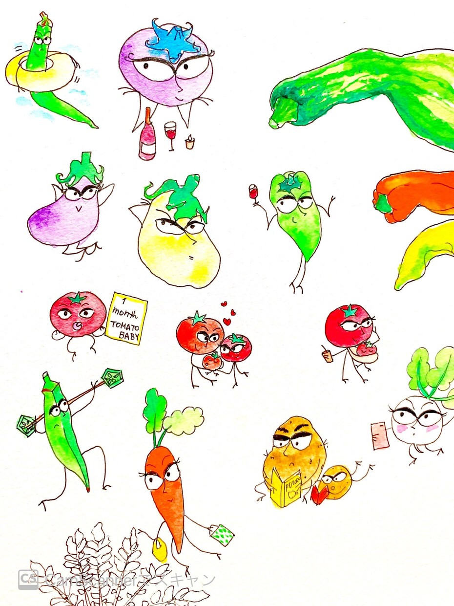 野菜ソムリエが野菜イラスト描きます 経歴　NHKきょうの料理テキスト挿絵など。 イメージ10