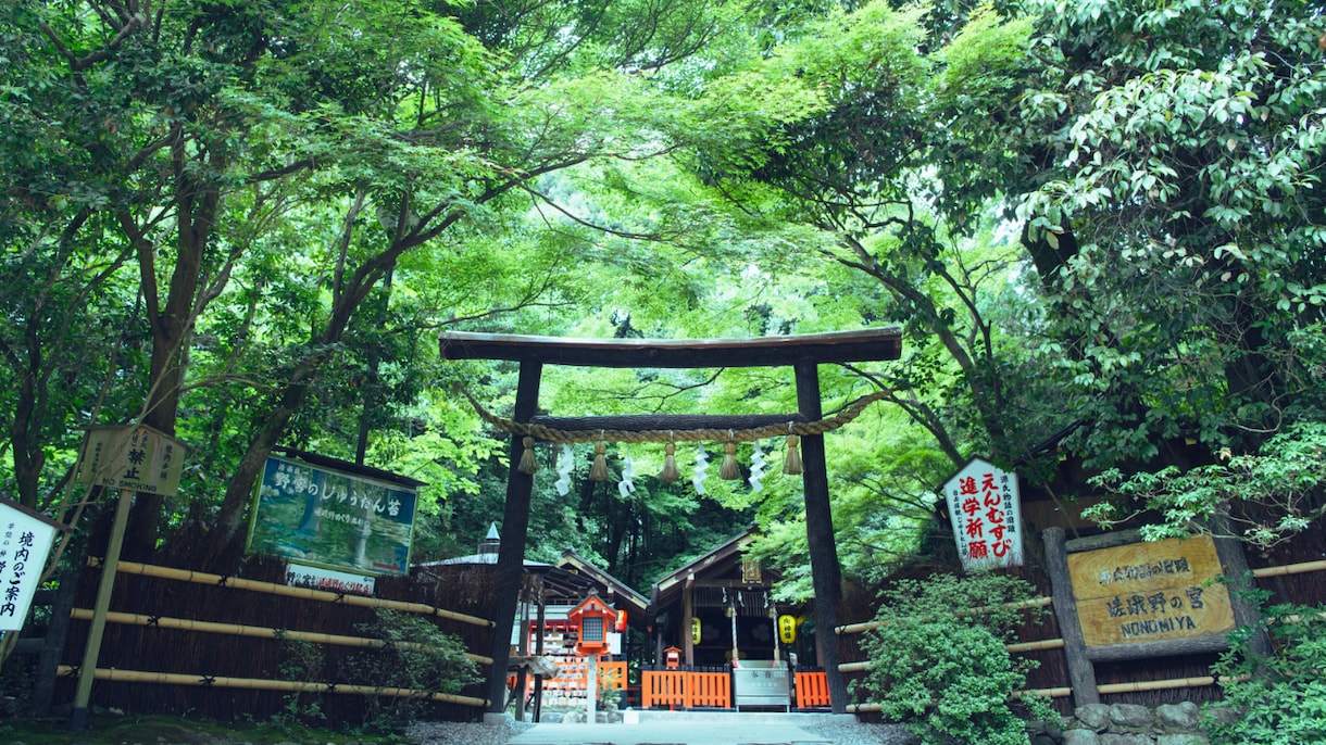 完全お任せ！はじめての手相鑑定をします 自分の手相に興味がある方、特徴的な線に注目してお伝えします！ イメージ1