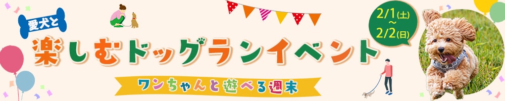 3枚セットで制作します まとめてご依頼でデザインに統一感を！ イメージ6