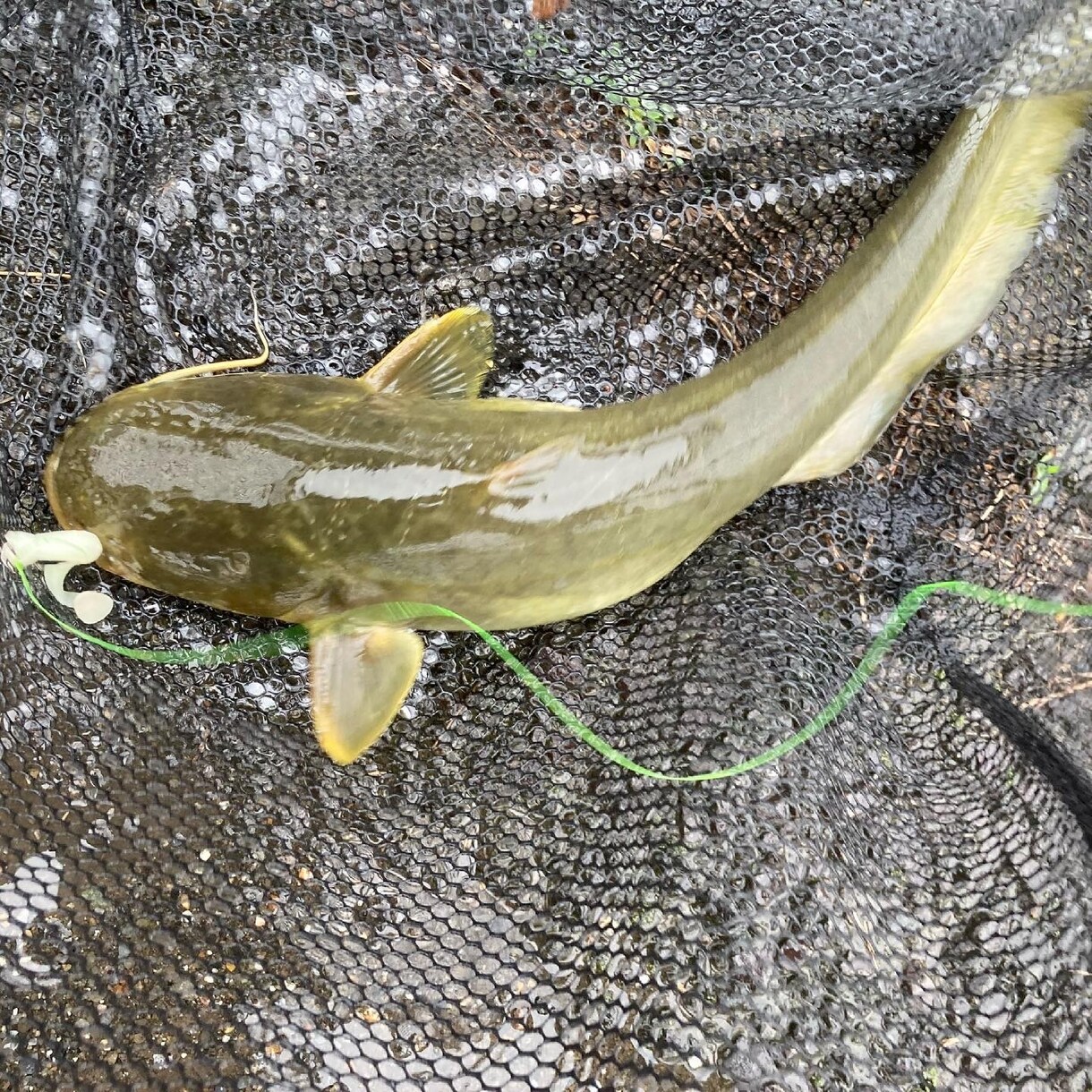川釣を始める方に道具等の紹介をします 学生ならではの釣り方や、小さい所の攻め方まで イメージ3