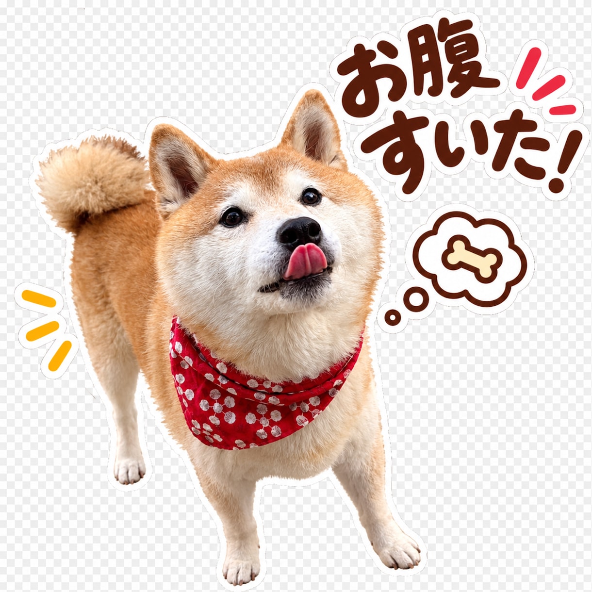 愛犬の写真から可愛いLINEスタンプを作ります 最新AI×丁寧な画像補正で、世界にひとつのスタンプを制作！ イメージ4
