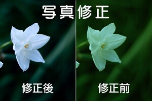 写真の明るさ・色修正・シワ消し・体型修正等をします 大切な写真の色味を直したい！気になる部分を修正したい！ イメージ1