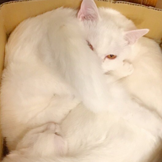 私にどーんと甘えてください！優しく受け止めます 大人でいることに疲れてしまったあなたへ。 イメージ5