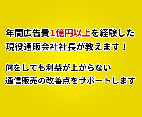 通信販売（オフライン）のお悩みご相談に乗ります 何をしても利益が上がらない通信販売の改善点をサポートします イメージ2