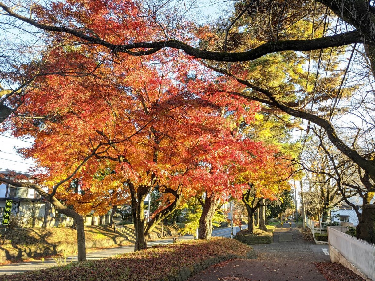 あなたが撮影した写真を補正します 人物、物、風景なんでも構いません！ イメージ2