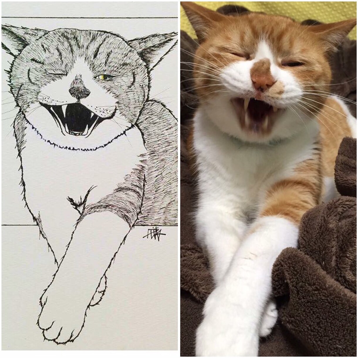 ペットの似顔絵をお描きします 世界に一枚だけの、思い出をイラストで残します。 イメージ2