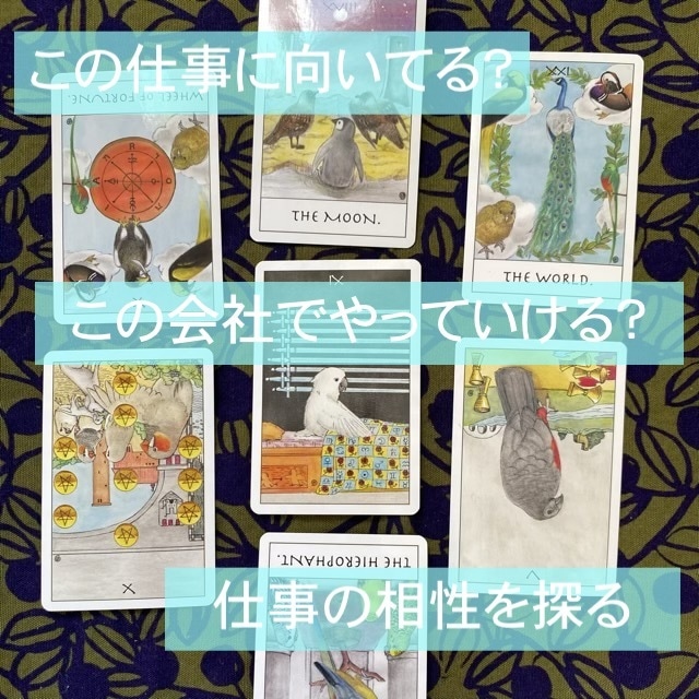 あなたの仕事運全般、鳥タロットで占います このままでいいのかなと思ってしまったら、、、ご相談ください イメージ2