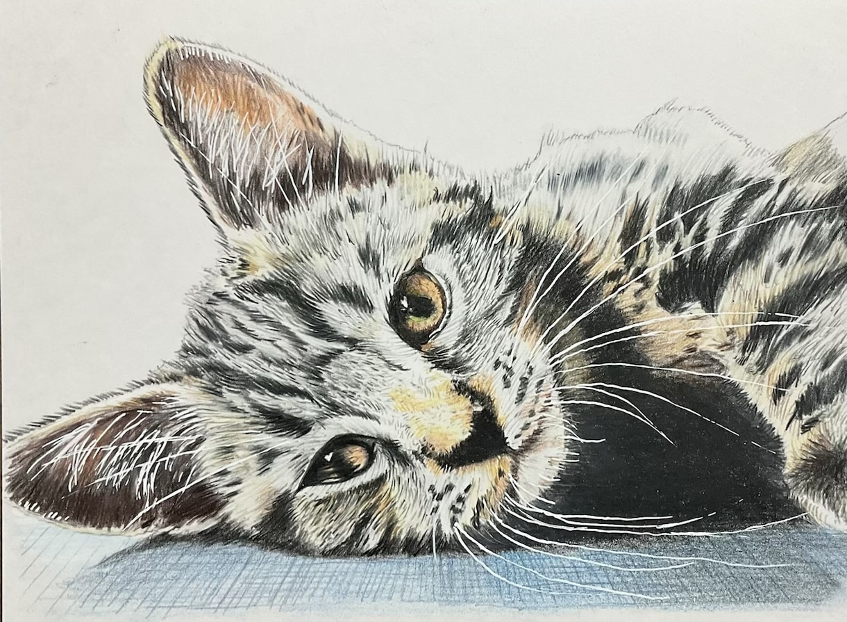 ペット似顔絵を色鉛筆で2Lサイズに描きます 写真を元に色鉛筆でペットの似顔絵をリアルに描きます。 イメージ6